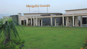 Branch Image